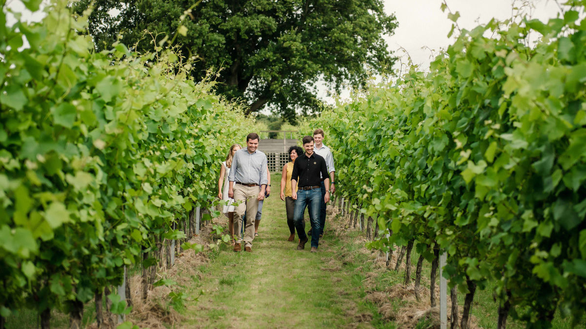 Gusbourne Estate Tour — Gusbourne Estate
