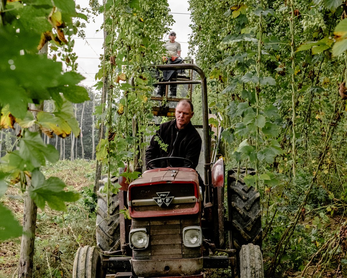 Hukins Hops Farm Tour — Hukins Hops