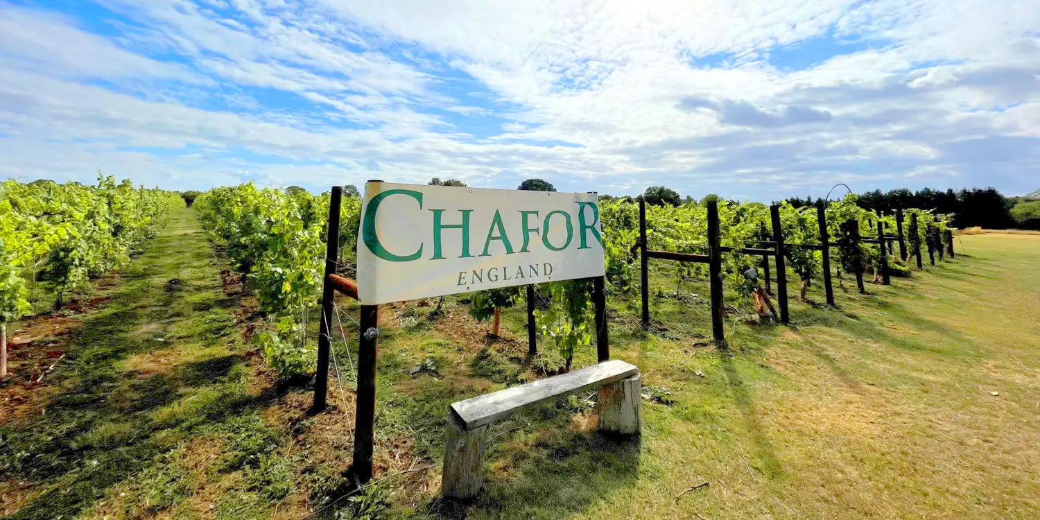Rambling Beer Walk — The Rambling Beer Co