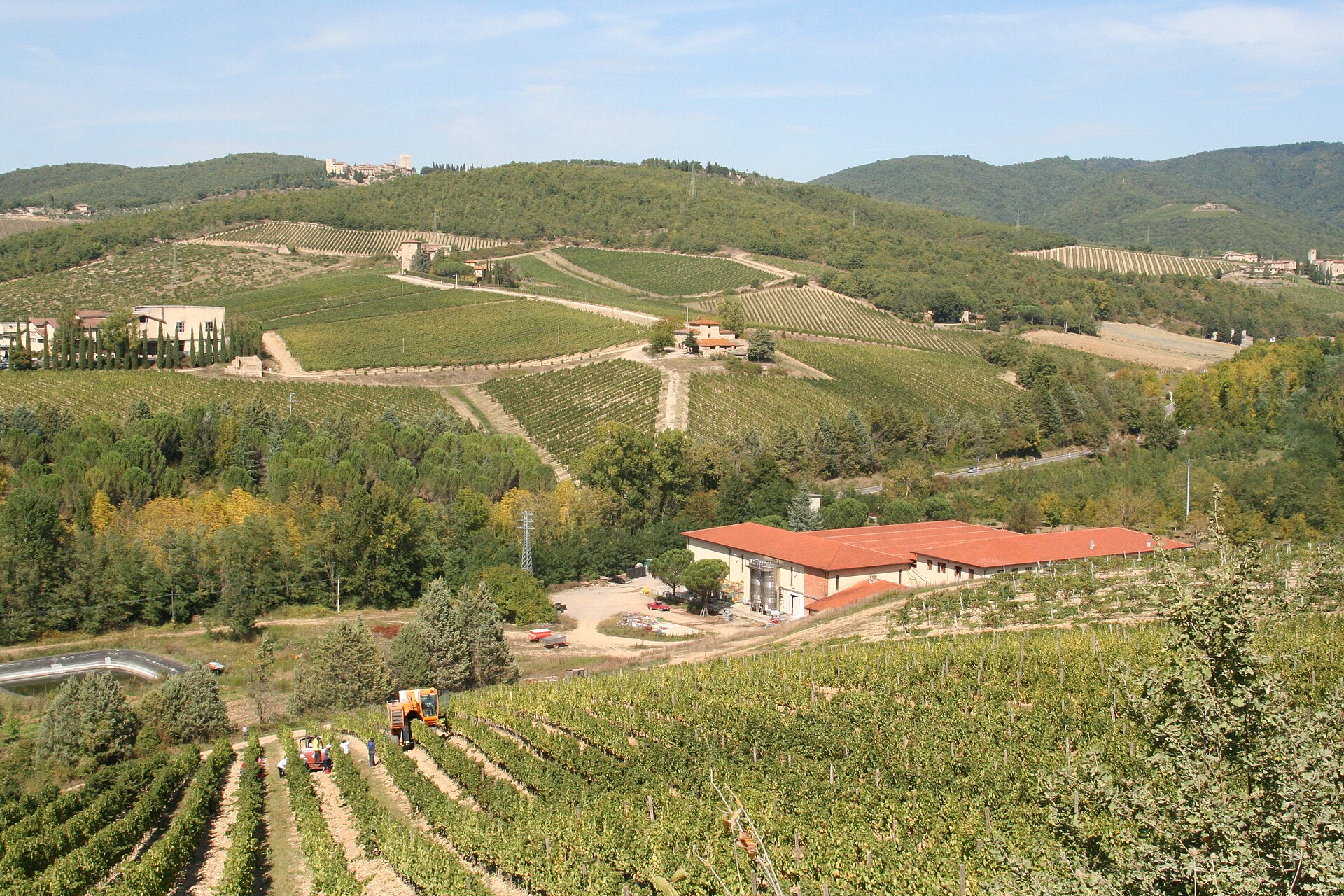 Tuscan Vineyard Lunch — Chianti Table